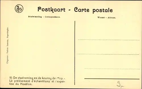 Ak Poperinghe Poperinge Westflandern, Hopfenanbau