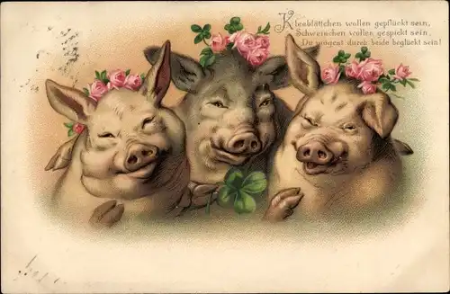 Litho Drei Schweine, Portrait, Rosen, Glücksklee