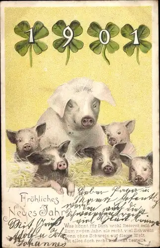Ak Glückwunsch Neujahr 1901, Schweine-Familie, Glücksklee