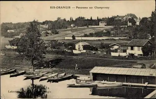 Ak Ris Orangis Essonne, Panorama auf Champrosay