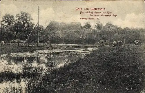 Ak Hasseldieksdamm Kiel, Waldesruh