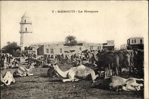 Ak Dschibuti, Moschee, Kamele