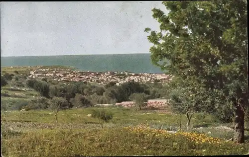 Ak Haifa Israel, Panorama