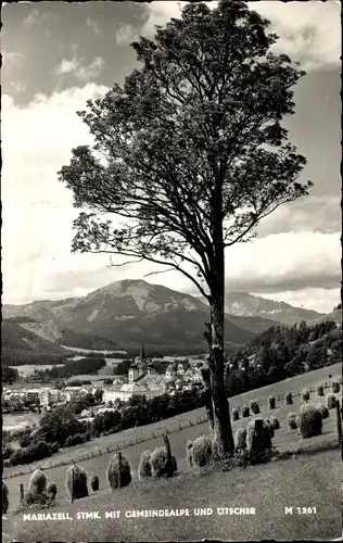 Ak Mariazell Steiermark, Panorama, Gemeindealpe, Ötscher