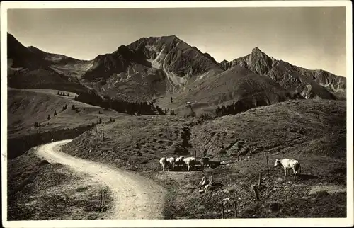 Ak Kanton Bern, Landschaft