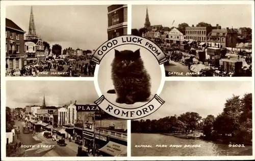 Ak Romford London City, Markt, Viehmarkt, South Street, Raphael Park von Bridge, Black Cat