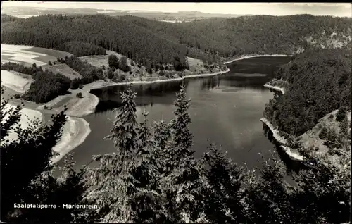 Ak Saalburg in Thüringen, Saaletalsperre, Marienstein