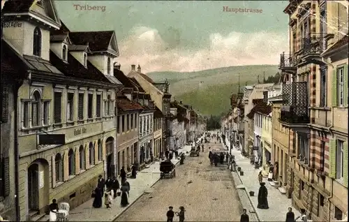 Ak Triberg im Schwarzwald, Hauptstraße, Gasthof, Geschäfte, Passanten