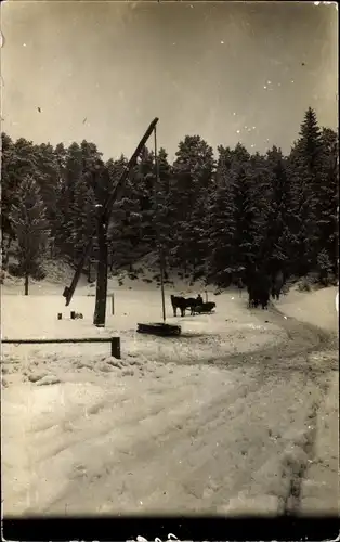 Foto Ak Rumänien, Wintermotiv, Panje Brunnen