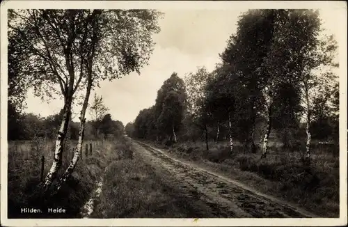 Ak Hilden im Rheinland, Heide, Birken