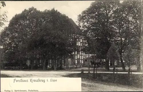 Ak Schlangen im Teutoburger Wald, Forsthaus Kreuzkrug in Lippe