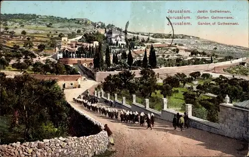 Ak Gethsemane Israel, Garten, Panorama