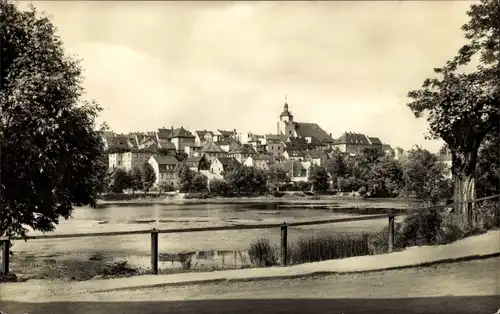 Ak Ronneburg in Thüringen, Baderteich, Teilansicht