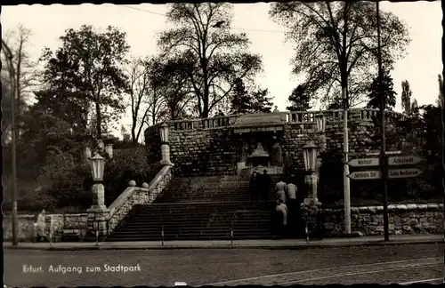 Ak Erfurt in Thüringen, Aufgang zum Stadtpark