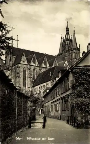 Ak Erfurt in Thüringen, Stiftsgasse mit Dom