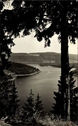 Ak Saalburg in Thüringen, Luchsloch, Blick auf Stausee der Bleiloch-Saaletalsperre