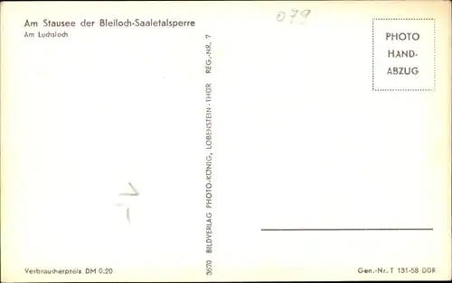 Ak Saalburg in Thüringen, Luchsloch, Blick auf Stausee der Bleiloch-Saaletalsperre