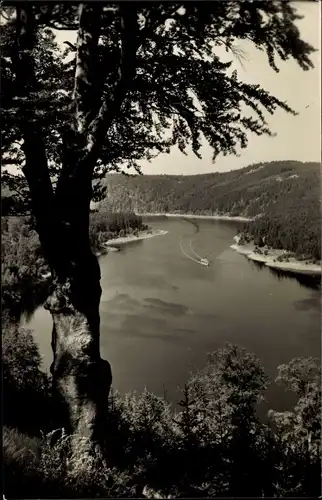 Ak Saalburg in Thüringen, Luchsloch, Blick auf Stausee der Bleiloch-Saaletalsperre