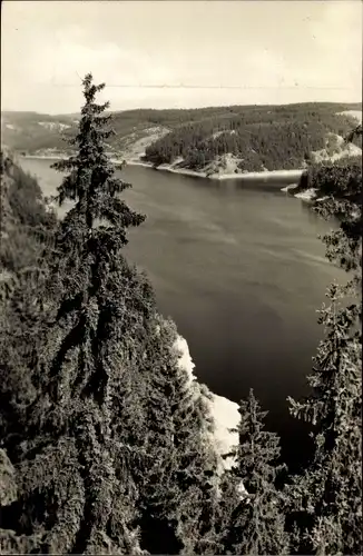 Ak Saalburg in Thüringen, Luchsloch, Blick auf Stausee der Bleiloch-Saaletalsperre