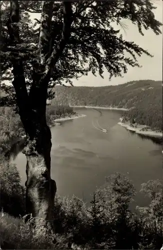 Ak Saalburg in Thüringen, Silberknie, Blick auf Stausee der Bleiloch-Saaletalsperre