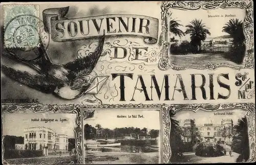 Ak Tamaris sur Mer Var, Debarcadere de Manteau, Institut biologique de Lyon, Manteau Le Petit Port