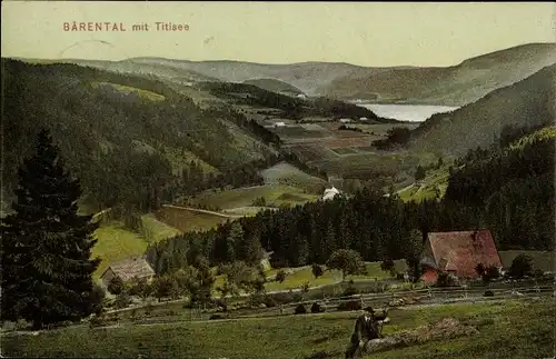 Ak Bärental Feldberg im Schwarzwald, Gesamtansicht, Titisee