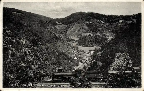 Ak Hinterzarten im Schwarzwald, Linien der Schwarzwaldbahn