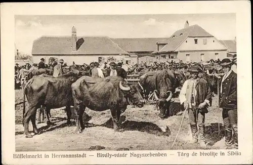 Ak Sibiu Nagyszeben Hermannstadt Siebenbürgen Rumänien, Büffelmarkt