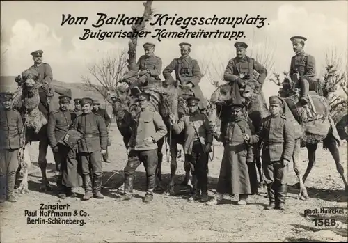 Ak Vom Balkan Kriegsschauplatz, Bulgarischer Kamelreitertrupp, I WK