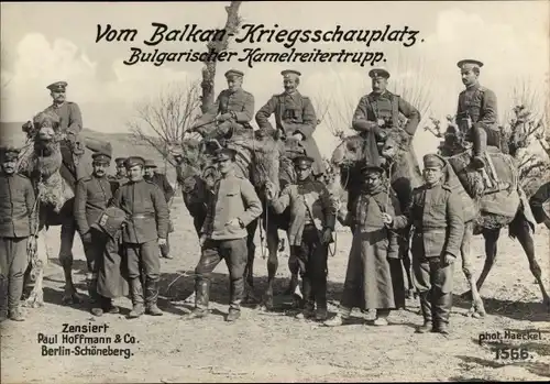 Ak Balkan Kriegsschauplatz, Bulgarischer Kamelreitertrupp, I WK