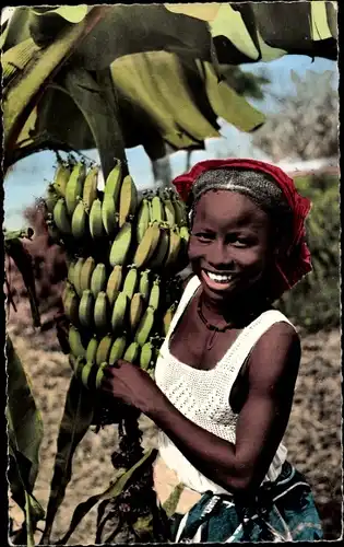 Ak Afrika in Farben, Bananen pflücken