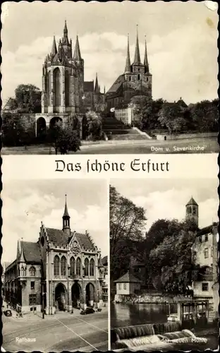 Ak Erfurt in Thüringen, Dom, Severikirche, Rathaus, Partie an der neuen Mühle