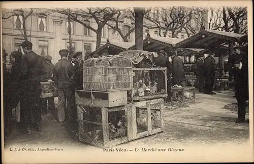 Ak Paris VII, le marché aux Oiseaux