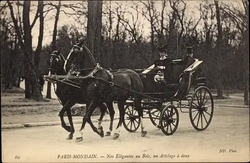 Ak Paris I., Paris Mondain, Nos Elegantes au Bois, un Attelage a deux