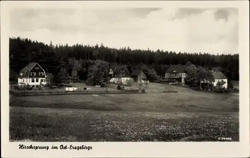 Ak Hirschsprung Altenberg Erzgebirge, Ortsansicht