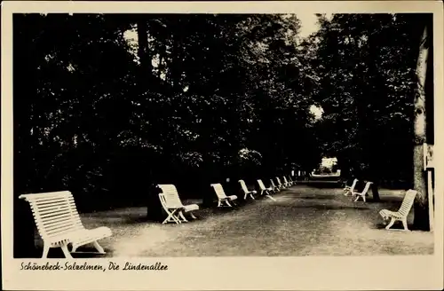 Ak Salzelmen Schönebeck an der Elbe, Lindenallee