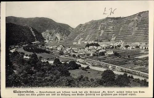 Ak Walporzheim Bad Neuenahr Ahrweiler, Panorama,  Weinberge