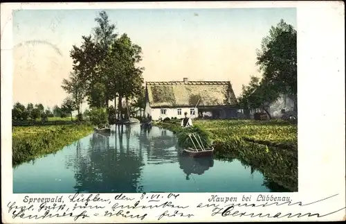 Ak Kaupen Lübbenau im Spreewald, Kanal, Kahn