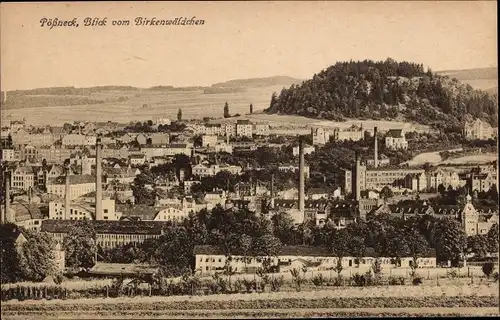 Ak Pößneck in Thüringen, Blick vom Birkenwäldchen