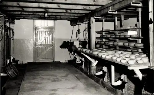 Ak Haastrecht Südholland, Käsehof P. A. Slingerland, Provincialeweg 1