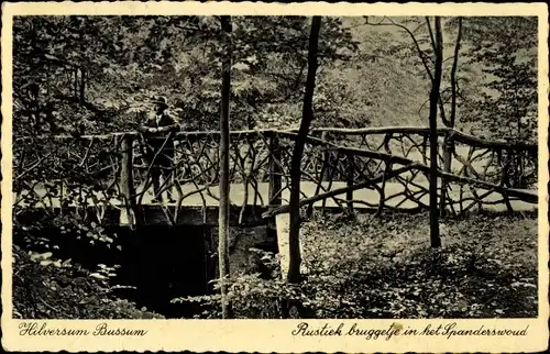 Ak Hilversum Bussum Nordholland Niederlande, Rustiek bruggetje inn het Spanderswoud