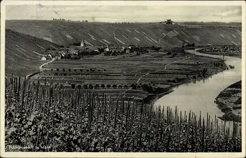 Ak Escherndorf Volkach in Unterfranken, Panorama, Weinreben, Ort