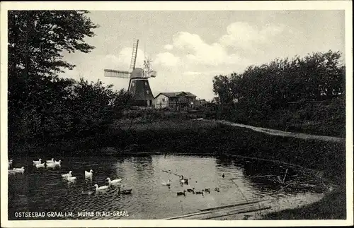 Ak Ostseebad Graal Müritz, Windmühle, Teich