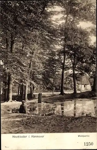 Ak Neukloster Buxtehude im Kreis Stade, Waldpartie