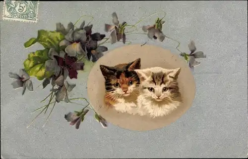Litho Katzenportrait, Zwei junge Katzen, Veilchen