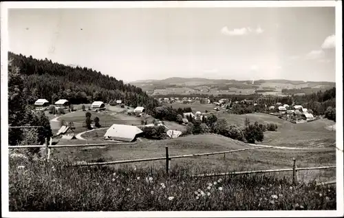 Ak Hinterzarten im Schwarzwald, Panorama