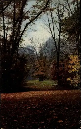 Ak Dresden, Großer Garten im Herbst, Laub, Nenke und Ostermaier 133 2578