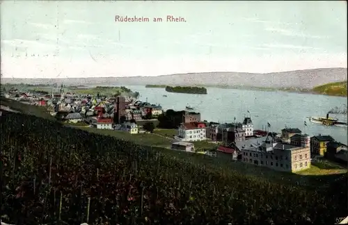 Ak Rüdesheim am Rhein, Panorama vom Ort