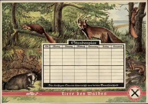 Stundenplan Sparkasse Genossenschaft, Tiere des Waldes, Fuchs, Marder, Dachs um 1930