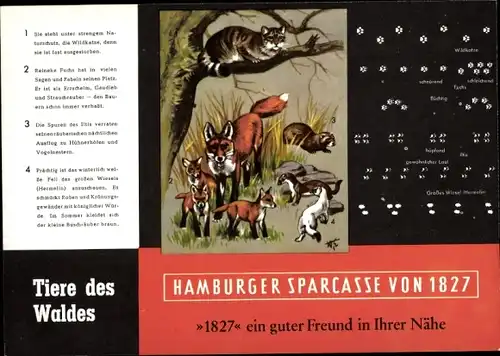 Stundenplan Neue Sparkasse Hamburg, Tiere des Waldes Fuchs Dachs um 1960